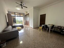 Dover Parkview (D5), Condominium #496306901